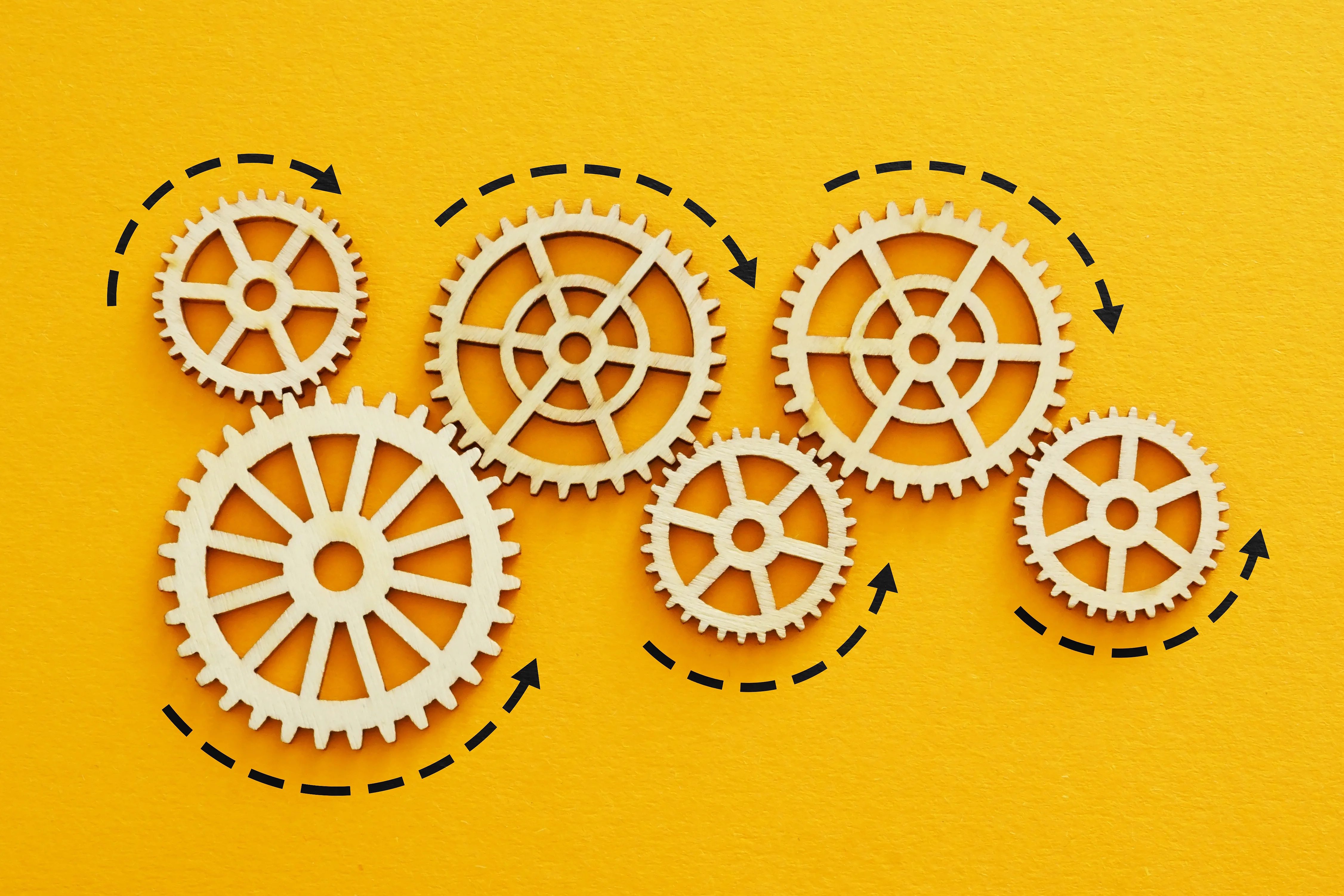 Projektberatung und -controlling