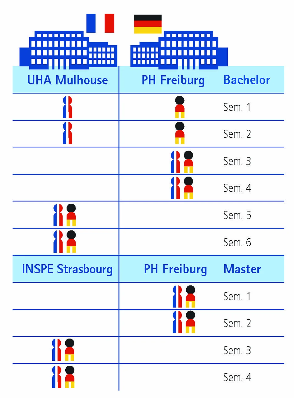 Studienverlauf Bachelor und Master