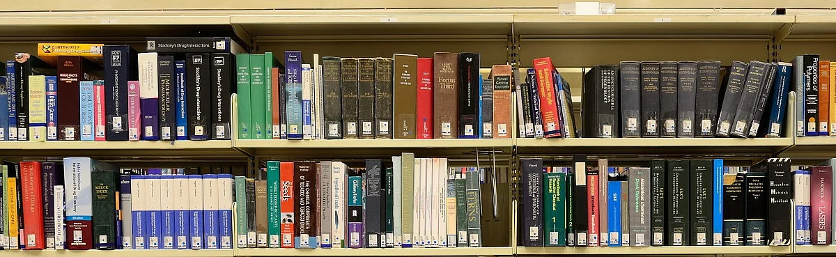 Institut für deutsche Sprache und Literatur