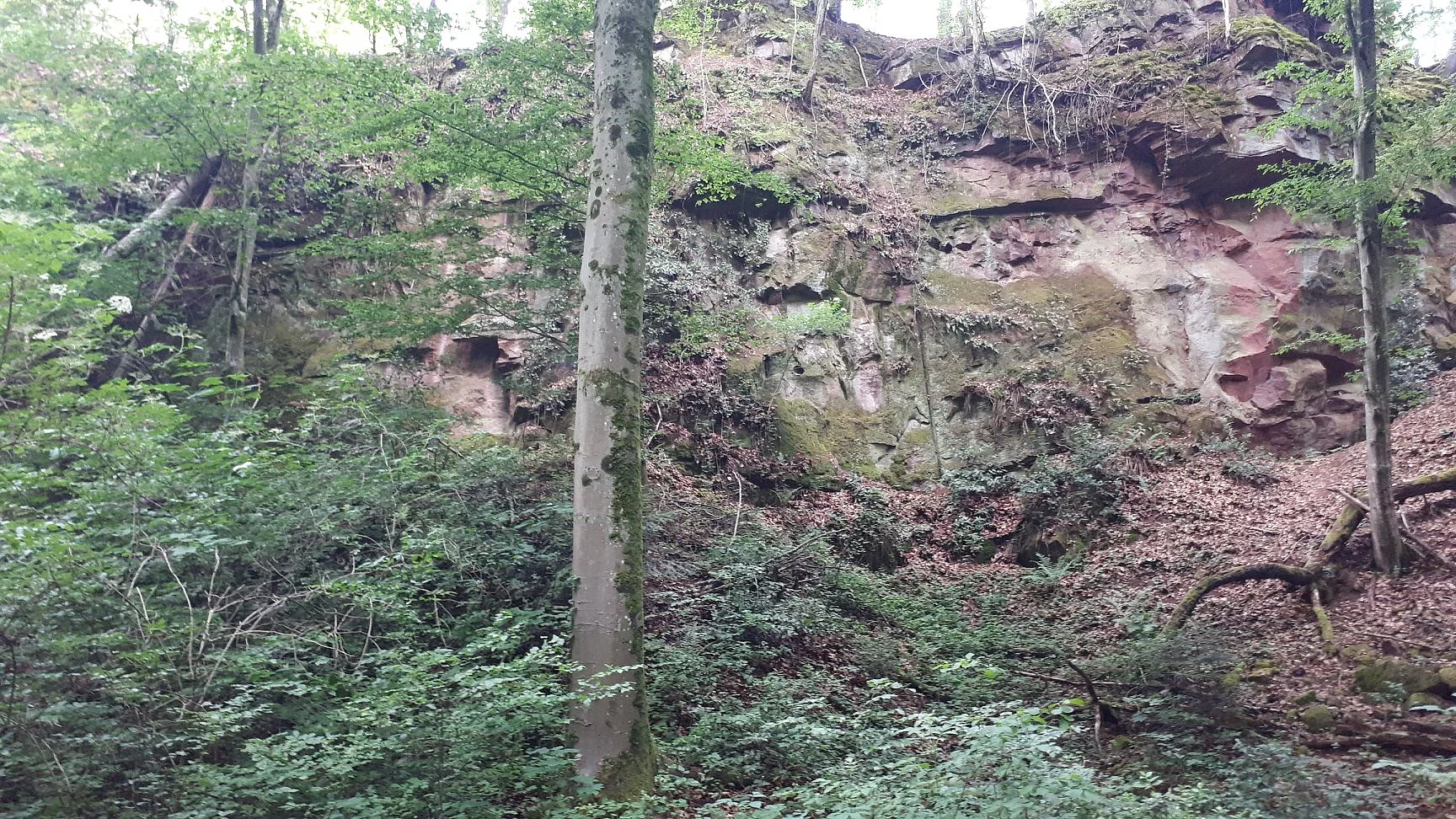 Nachhaltigkeit fördern durch Wertschätzung der Natur- und Kulturlandschaften Baden-Württembergs Sandsteinfelsen
