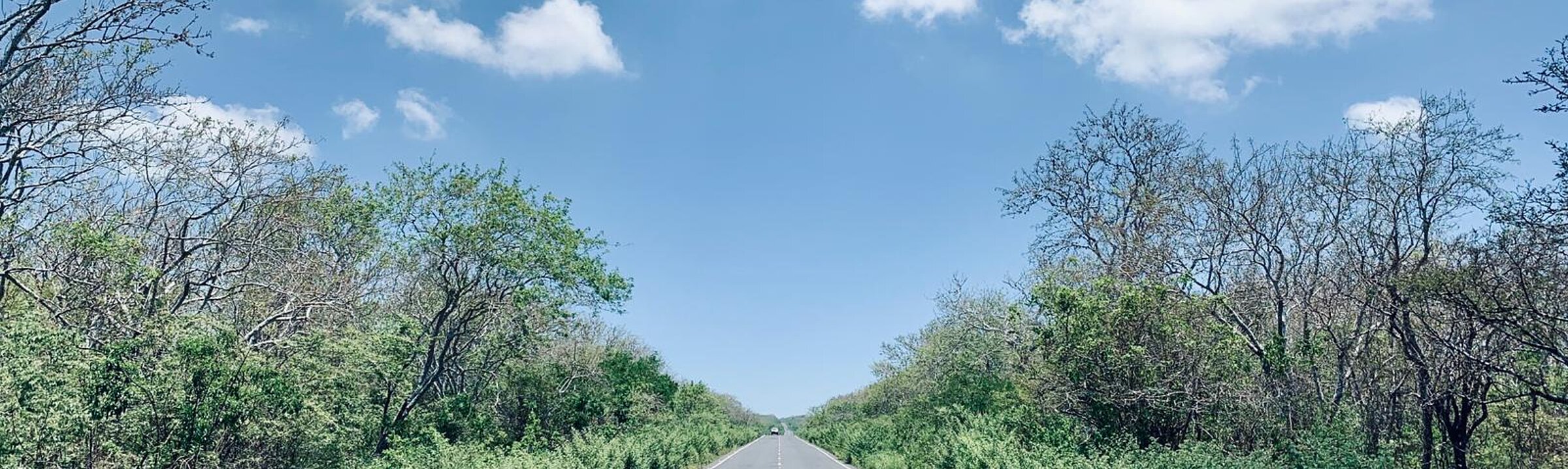 Titelbild Gerade Straße blauer Himmel und Sträucher auf beiden Seiten