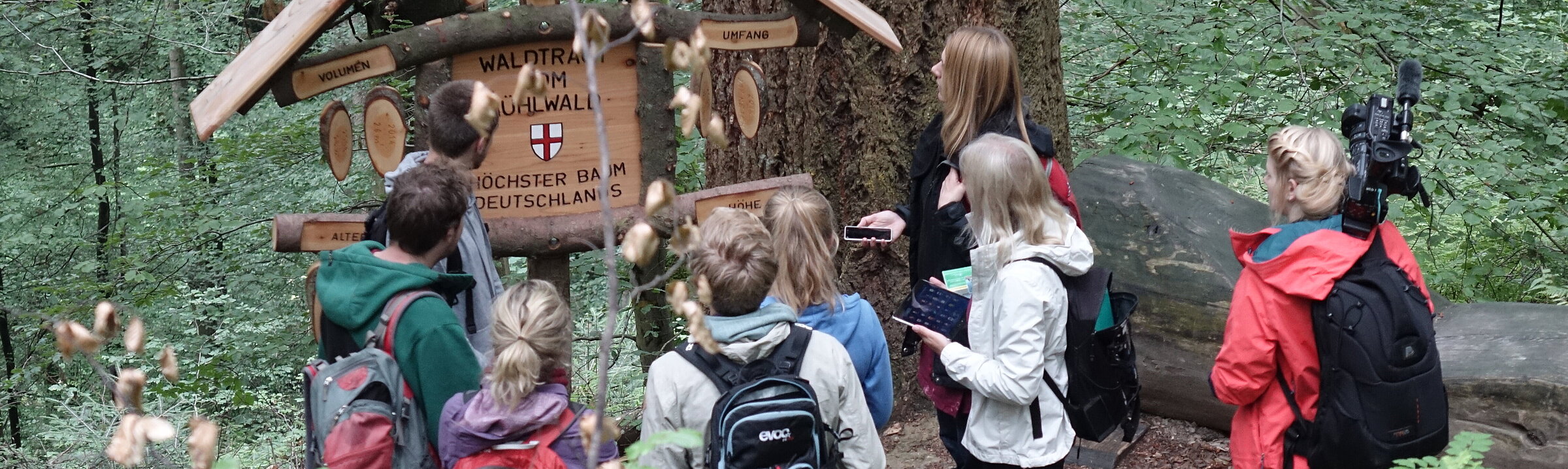 Studierende stehen mit Smartphones vor einem Baum
