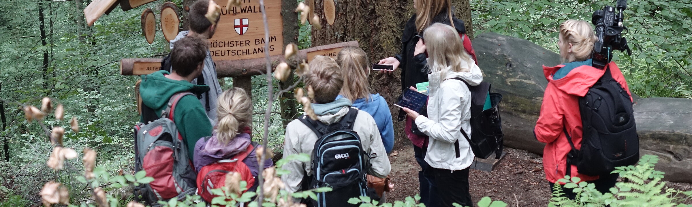 [Translate to English:] Studierende stehen mit Smartphones vor einem Baum