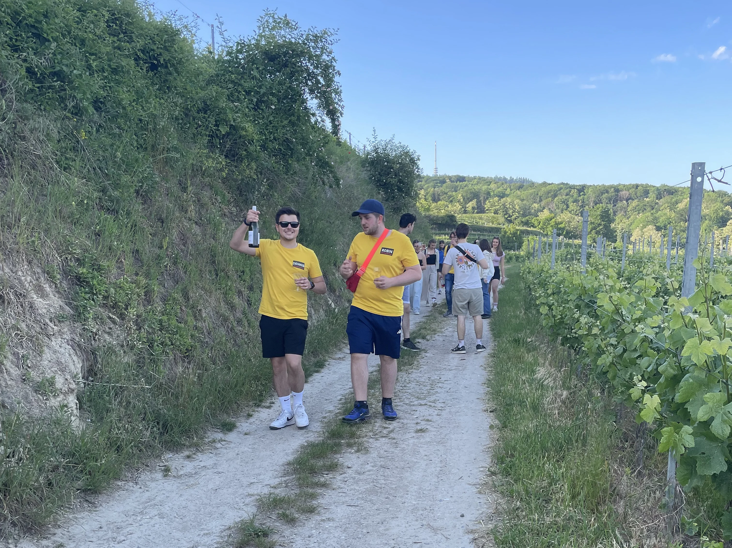 Weinwanderung