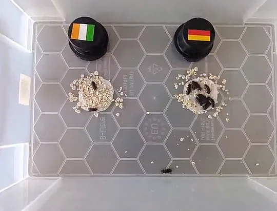 Vorlesungsverzeichnis der Biologie Bitte melden sie sich in ILIAS an, und tragen sich in diesen Kurs ein
