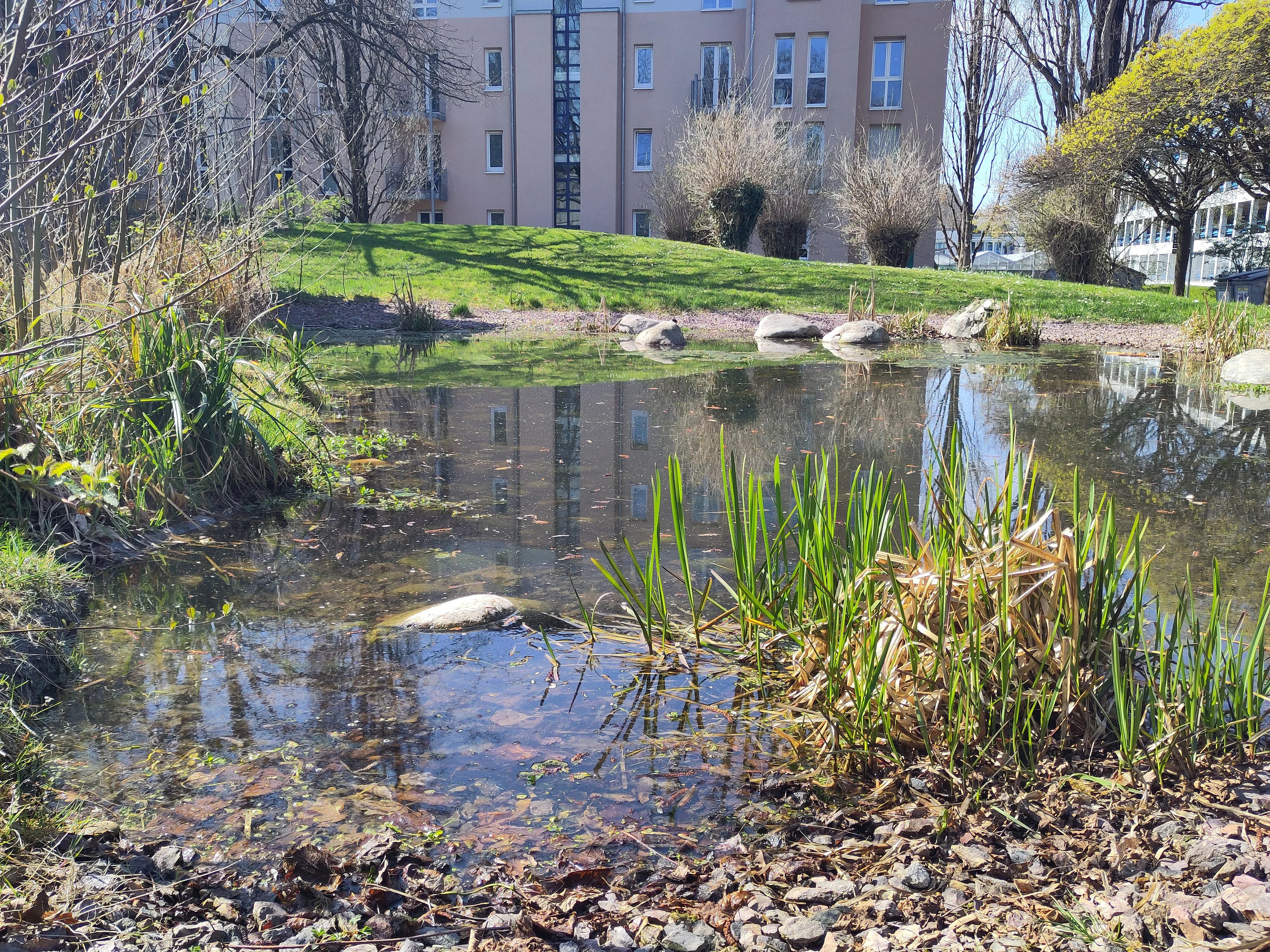 Biodiversität und Aufenthaltsqualität