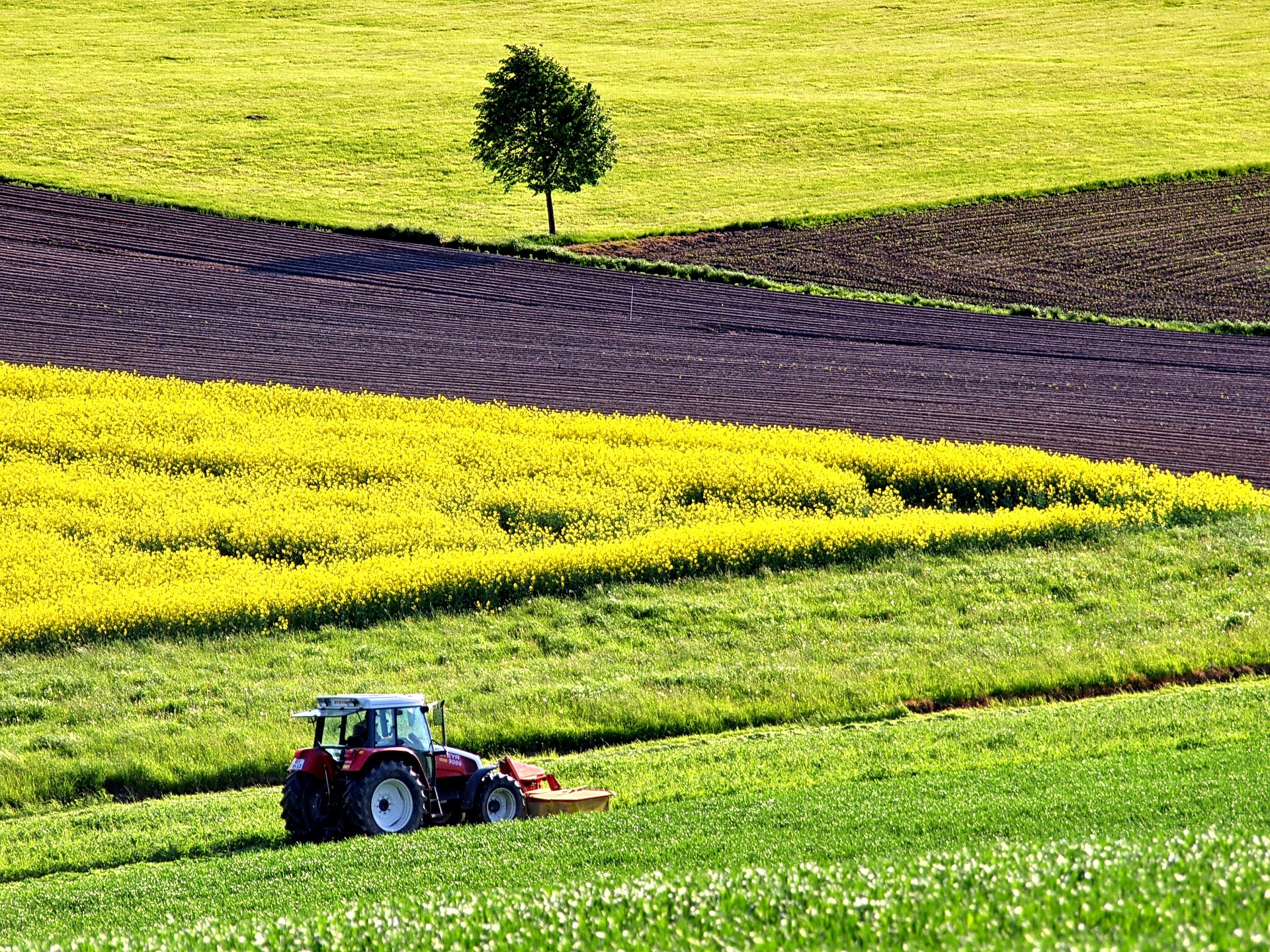 Feld, das von einem Traktor bestellt wird