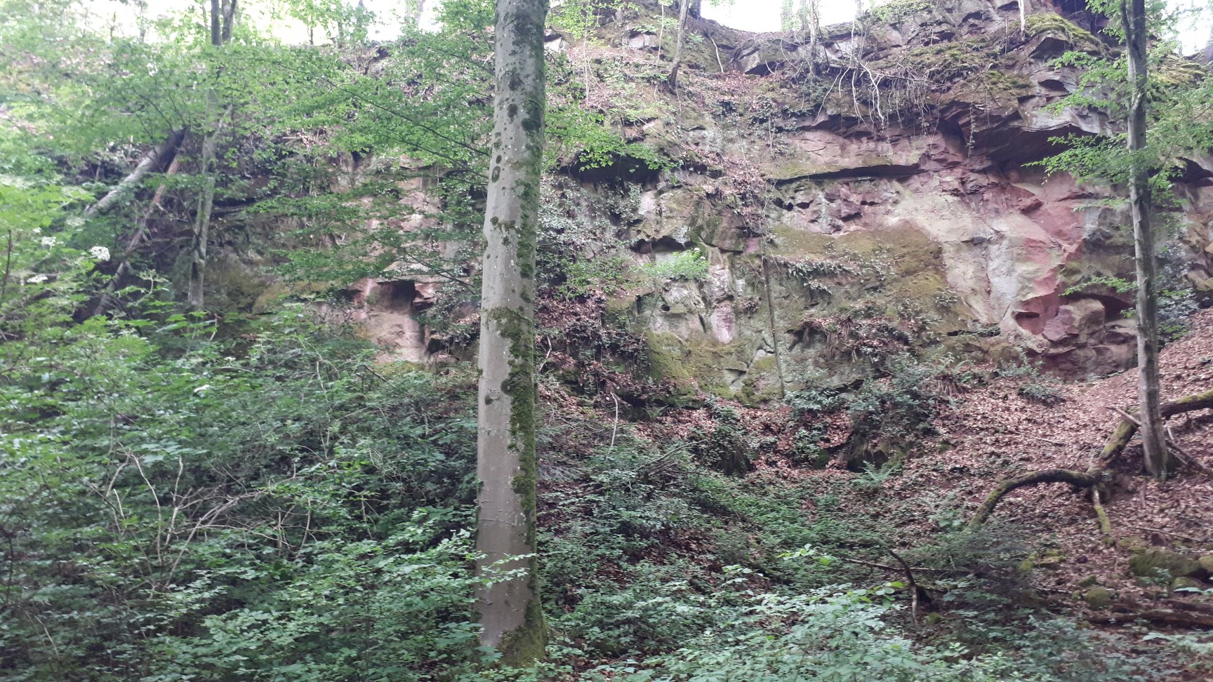 Sandsteinfelsen