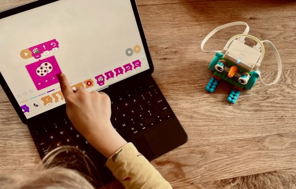 Computational and Algorithmic Principles in LEGO®-Enriched Mathematics Learning