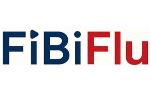 Finanzielle Bildung durch Finfluencer? Fachliches reflektiertes Lernen mit Erklärvideos unterstützen