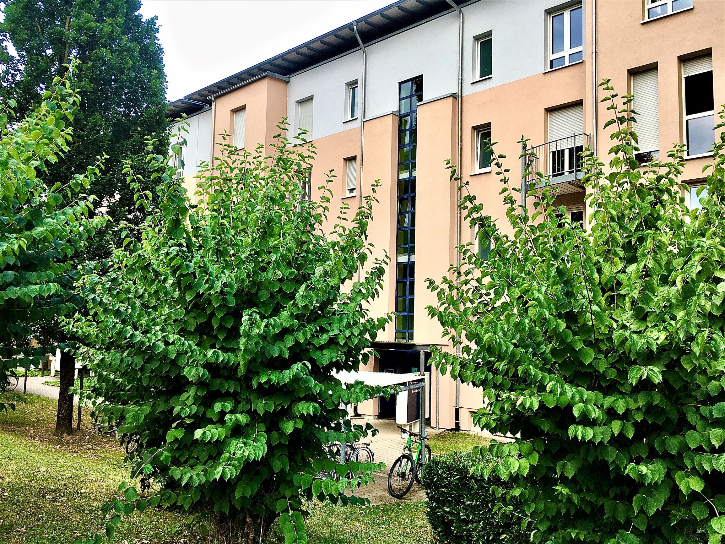 Das Bild zeigt das Gebäude, in dem Sie das International Office finden